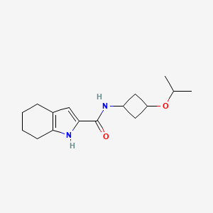 N-(3-propan-2-yloxycyclobutyl)-4,5,6,7-tetrahydro-1H-indole-2-carboxamide