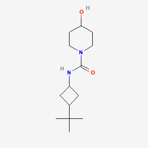 N-(3-tert-butylcyclobutyl)-4-hydroxypiperidine-1-carboxamide