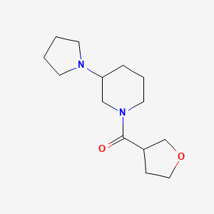 molecular formula C14H24N2O2 B6812705 Oxolan-3-yl-(3-pyrrolidin-1-ylpiperidin-1-yl)methanone 