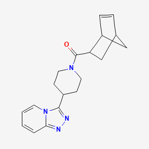 2-Bicyclo[2.2.1]hept-5-enyl-[4-([1,2,4]triazolo[4,3-a]pyridin-3-yl)piperidin-1-yl]methanone