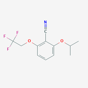 molecular formula C12H12F3NO2 B068312 2-Isopropoxy-6-(2,2,2-trifluoroethoxy)benzonitrile CAS No. 175204-05-4