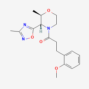 3-(2-methoxyphenyl)-1-[(2R,3S)-2-methyl-3-(3-methyl-1,2,4-oxadiazol-5-yl)morpholin-4-yl]propan-1-one