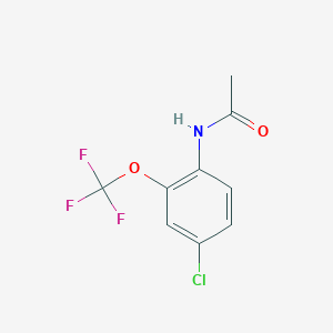molecular formula C9H7ClF3NO2 B068845 N-[4-chloro-2-(trifluoromethoxy)phenyl]acetamide CAS No. 175278-36-1