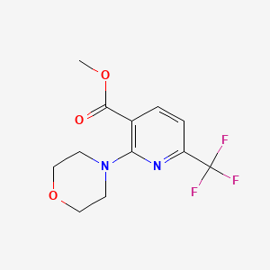 molecular formula C12H13F3N2O3 B6890472 Methyl 2-morpholin-4-yl-6-(trifluoromethyl)pyridine-3-carboxylate 