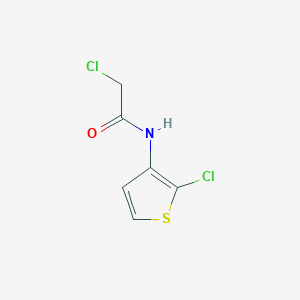 2-chloro-N-(2-chlorothiophen-3-yl)acetamide