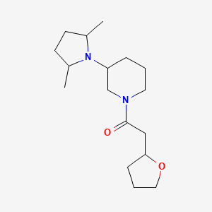 1-[3-(2,5-Dimethylpyrrolidin-1-yl)piperidin-1-yl]-2-(oxolan-2-yl)ethanone