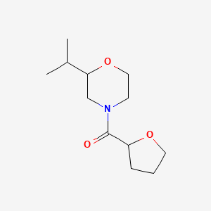 molecular formula C12H21NO3 B6900059 Oxolan-2-yl-(2-propan-2-ylmorpholin-4-yl)methanone 