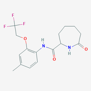 N-[4-methyl-2-(2,2,2-trifluoroethoxy)phenyl]-7-oxoazepane-2-carboxamide