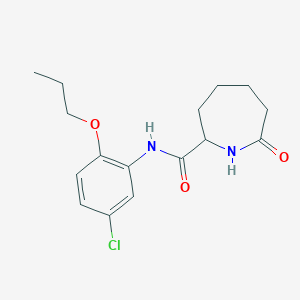 N-(5-chloro-2-propoxyphenyl)-7-oxoazepane-2-carboxamide