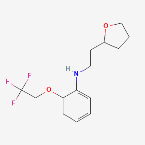 N-[2-(oxolan-2-yl)ethyl]-2-(2,2,2-trifluoroethoxy)aniline