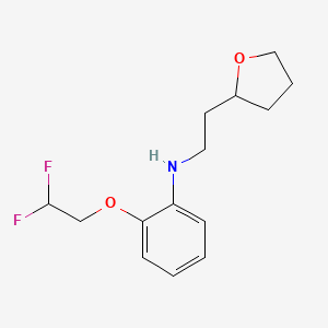 2-(2,2-difluoroethoxy)-N-[2-(oxolan-2-yl)ethyl]aniline