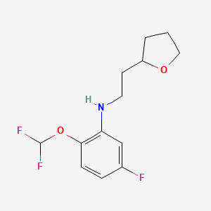 2-(difluoromethoxy)-5-fluoro-N-[2-(oxolan-2-yl)ethyl]aniline