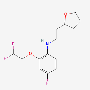 2-(2,2-difluoroethoxy)-4-fluoro-N-[2-(oxolan-2-yl)ethyl]aniline