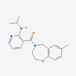 molecular formula C19H23N3O2 B6964137 (7-methyl-3,5-dihydro-2H-1,4-benzoxazepin-4-yl)-[2-(propan-2-ylamino)pyridin-3-yl]methanone 