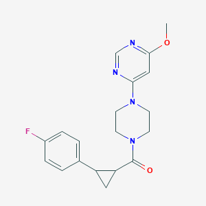 molecular formula C19H21FN4O2 B6964184 [2-(4-Fluorophenyl)cyclopropyl]-[4-(6-methoxypyrimidin-4-yl)piperazin-1-yl]methanone 