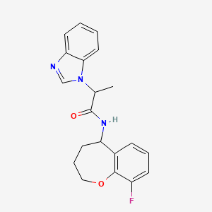 molecular formula C20H20FN3O2 B6965865 2-(benzimidazol-1-yl)-N-(9-fluoro-2,3,4,5-tetrahydro-1-benzoxepin-5-yl)propanamide 