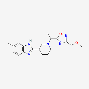 molecular formula C19H25N5O2 B6967615 3-(methoxymethyl)-5-[1-[3-(6-methyl-1H-benzimidazol-2-yl)piperidin-1-yl]ethyl]-1,2,4-oxadiazole 