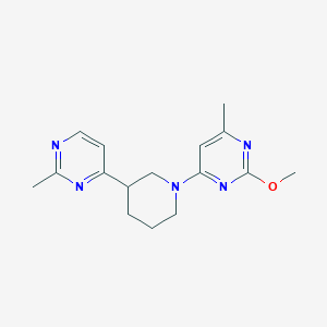 molecular formula C16H21N5O B6968729 2-Methoxy-4-methyl-6-[3-(2-methylpyrimidin-4-yl)piperidin-1-yl]pyrimidine 