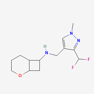 molecular formula C13H19F2N3O B6969493 N-[[3-(difluoromethyl)-1-methylpyrazol-4-yl]methyl]-2-oxabicyclo[4.2.0]octan-7-amine 