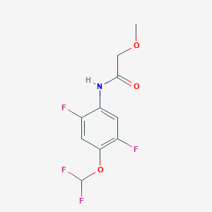 N-[4-(difluoromethoxy)-2,5-difluorophenyl]-2-methoxyacetamide