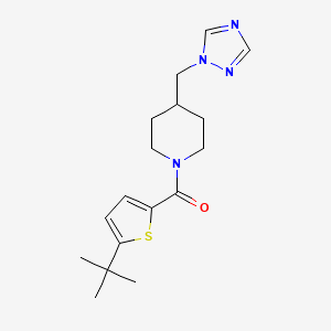 molecular formula C17H24N4OS B6972960 (5-Tert-butylthiophen-2-yl)-[4-(1,2,4-triazol-1-ylmethyl)piperidin-1-yl]methanone 