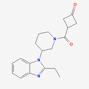 3-[3-(2-Ethylbenzimidazol-1-yl)piperidine-1-carbonyl]cyclobutan-1-one