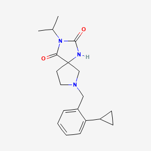 molecular formula C19H25N3O2 B6973889 7-[(2-Cyclopropylphenyl)methyl]-3-propan-2-yl-1,3,7-triazaspiro[4.4]nonane-2,4-dione 