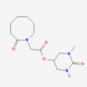 molecular formula C14H23N3O4 B6974169 (1-Methyl-2-oxo-1,3-diazinan-5-yl) 2-(2-oxoazocan-1-yl)acetate 