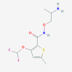 molecular formula C10H14F2N2O3S B6978608 N-(2-aminopropoxy)-3-(difluoromethoxy)-5-methylthiophene-2-carboxamide 