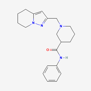 molecular formula C20H26N4O B6978889 N-phenyl-1-(4,5,6,7-tetrahydropyrazolo[1,5-a]pyridin-2-ylmethyl)piperidine-3-carboxamide 