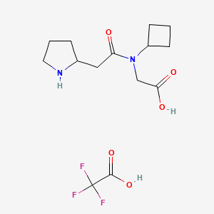 molecular formula C14H21F3N2O5 B6979491 2-[Cyclobutyl-(2-pyrrolidin-2-ylacetyl)amino]acetic acid;2,2,2-trifluoroacetic acid 