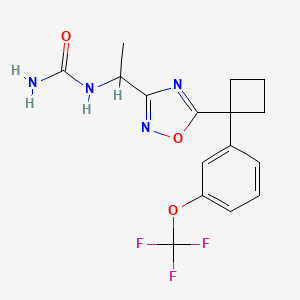 molecular formula C16H17F3N4O3 B6981869 1-[5-[1-[3-(Trifluoromethoxy)phenyl]cyclobutyl]-1,2,4-oxadiazol-3-yl]ethylurea 