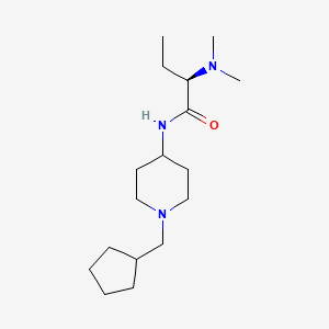 (2R)-N-[1-(cyclopentylmethyl)piperidin-4-yl]-2-(dimethylamino)butanamide