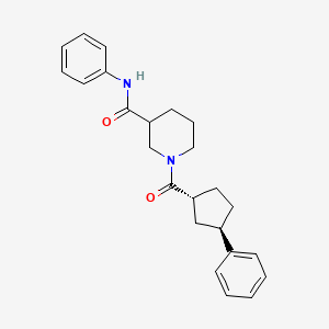 N-phenyl-1-[(1R,3R)-3-phenylcyclopentanecarbonyl]piperidine-3-carboxamide