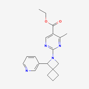 molecular formula C19H22N4O2 B7045491 Ethyl 4-methyl-2-(3-pyridin-3-yl-2-azaspiro[3.3]heptan-2-yl)pyrimidine-5-carboxylate 