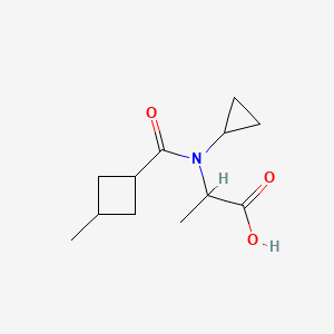 molecular formula C12H19NO3 B7048990 2-[Cyclopropyl-(3-methylcyclobutanecarbonyl)amino]propanoic acid 