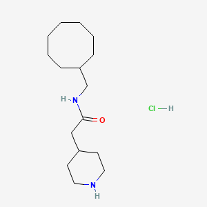 N-(cyclooctylmethyl)-2-piperidin-4-ylacetamide;hydrochloride