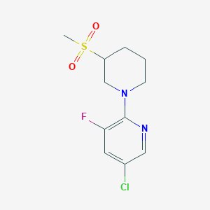 molecular formula C11H14ClFN2O2S B7051263 5-Chloro-3-fluoro-2-(3-methylsulfonylpiperidin-1-yl)pyridine 