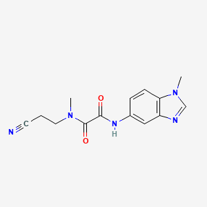 molecular formula C14H15N5O2 B7051759 N'-(2-cyanoethyl)-N'-methyl-N-(1-methylbenzimidazol-5-yl)oxamide 