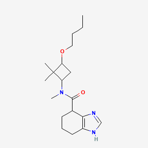 molecular formula C19H31N3O2 B7052533 N-(3-butoxy-2,2-dimethylcyclobutyl)-N-methyl-4,5,6,7-tetrahydro-1H-benzimidazole-4-carboxamide 