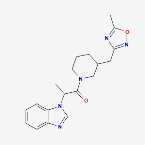 molecular formula C19H23N5O2 B7055271 2-(Benzimidazol-1-yl)-1-[3-[(5-methyl-1,2,4-oxadiazol-3-yl)methyl]piperidin-1-yl]propan-1-one 