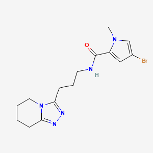 molecular formula C15H20BrN5O B7055554 4-bromo-1-methyl-N-[3-(5,6,7,8-tetrahydro-[1,2,4]triazolo[4,3-a]pyridin-3-yl)propyl]pyrrole-2-carboxamide 