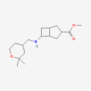 molecular formula C17H29NO3 B7091763 Methyl 6-[(2,2-dimethyloxan-4-yl)methylamino]bicyclo[3.2.0]heptane-3-carboxylate 