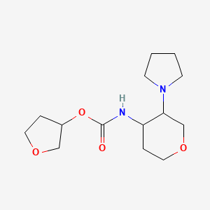 molecular formula C14H24N2O4 B7092848 oxolan-3-yl N-(3-pyrrolidin-1-yloxan-4-yl)carbamate 