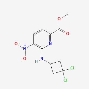 molecular formula C11H11Cl2N3O4 B7093681 Methyl 6-[(3,3-dichlorocyclobutyl)amino]-5-nitropyridine-2-carboxylate 