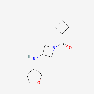 (3-Methylcyclobutyl)-[3-(oxolan-3-ylamino)azetidin-1-yl]methanone