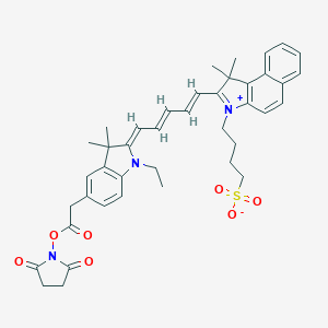 molecular formula C41H45N3O7S B071012 4-[2-[(1E,3E,5E)-5-[5-[2-(2,5-Dioxopyrrolidin-1-yl)oxy-2-oxoethyl]-1-ethyl-3,3-dimethylindol-2-ylidene]penta-1,3-dienyl]-1,1-dimethylbenzo[e]indol-3-ium-3-yl]butane-1-sulfonate CAS No. 167638-53-1