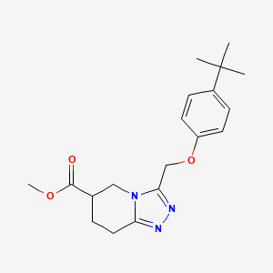 molecular formula C19H25N3O3 B7109520 Methyl 3-[(4-tert-butylphenoxy)methyl]-5,6,7,8-tetrahydro-[1,2,4]triazolo[4,3-a]pyridine-6-carboxylate 