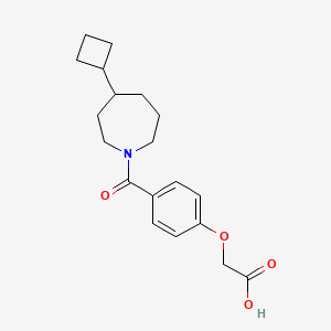 2-[4-(4-Cyclobutylazepane-1-carbonyl)phenoxy]acetic acid