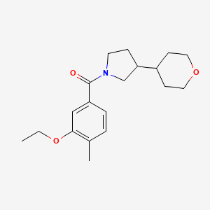 (3-Ethoxy-4-methylphenyl)-[3-(oxan-4-yl)pyrrolidin-1-yl]methanone